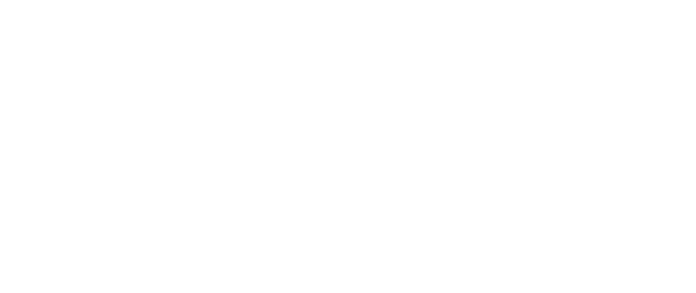 geier-2